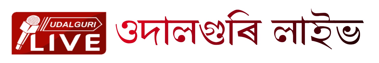 Udalgurilive